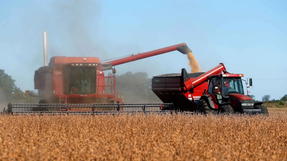 Dolar Ambito Updates